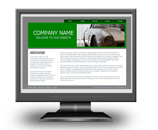 Mister Webguy Promo Webdesign